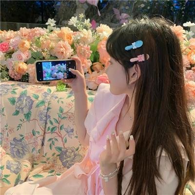 小象守护者