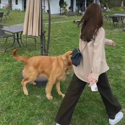 丛林之地